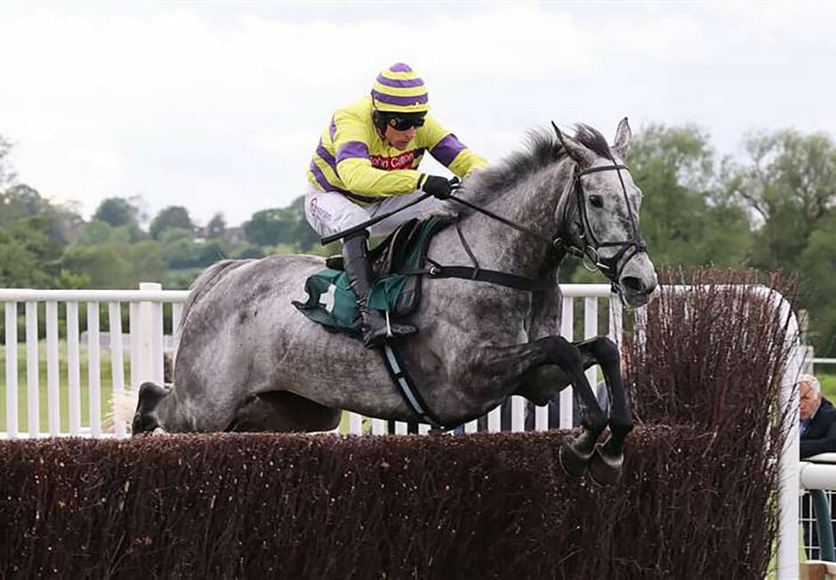 Rosconn Group Novices' Limited Handicap Chase